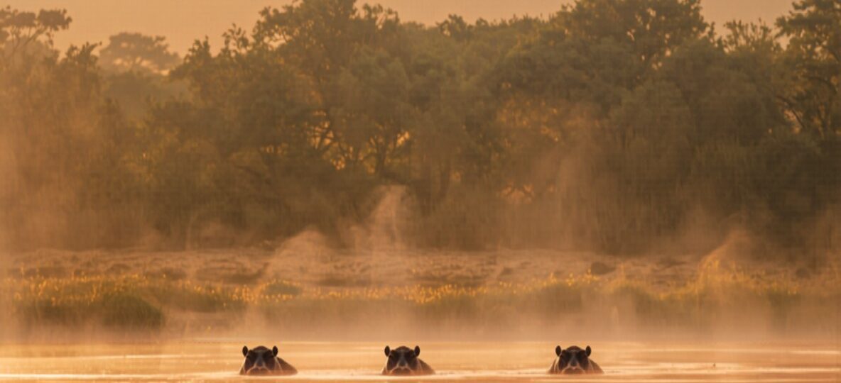 Mara Crossings Camp accommodation setting in Maasai Mara, Kenya