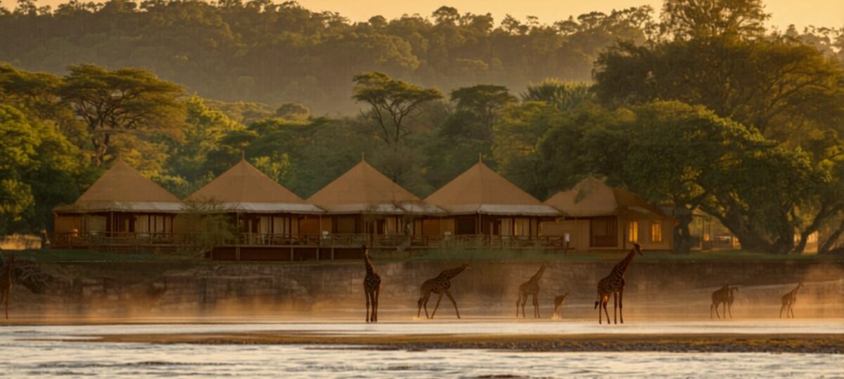 Mara River Lodge accommodation setting in Maasai Mara, Kenya