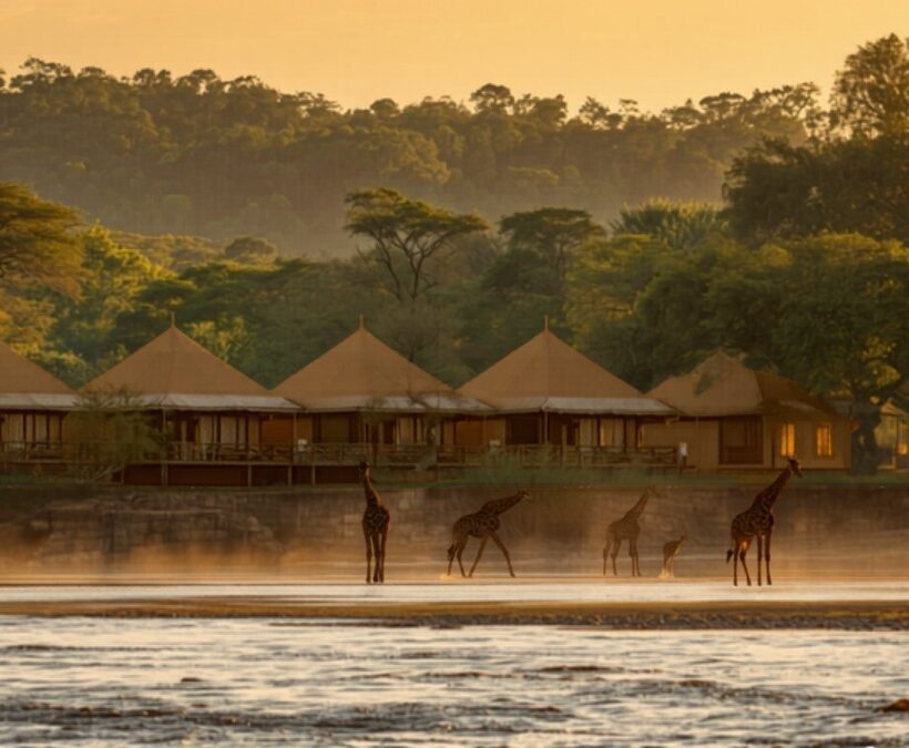 Mara River Lodge accommodation setting in Maasai Mara, Kenya