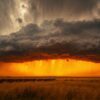 Masai Mara Weather Complete Monthly Guide
