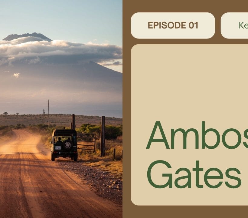 Meshanani Gate Vs Kimana Gate
