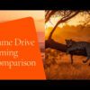 Morning Vs Afternoon Game Drive Masai Mara