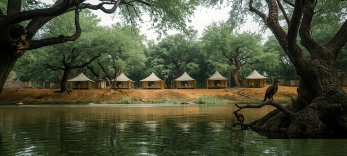 Olengoti Eco Safari Camp accommodation setting in Maasai Mara, Kenya