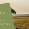 Osero Camp accommodation setting in Maasai Mara, Kenya