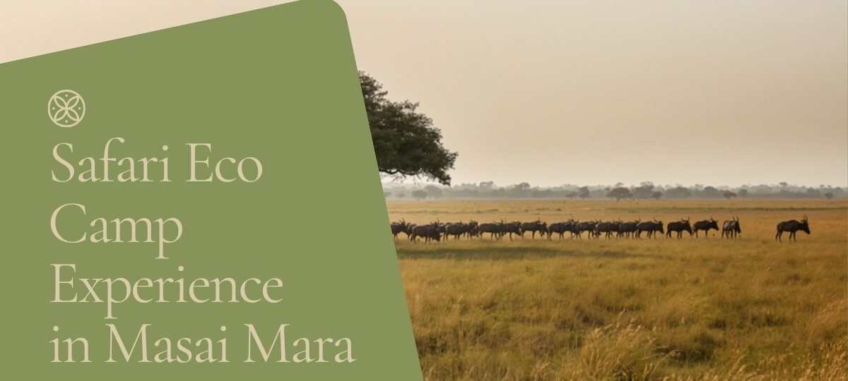 Osero Camp accommodation setting in Maasai Mara, Kenya