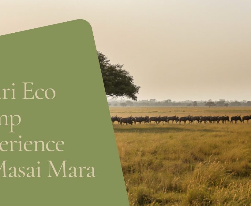 Osero Camp accommodation setting in Maasai Mara, Kenya