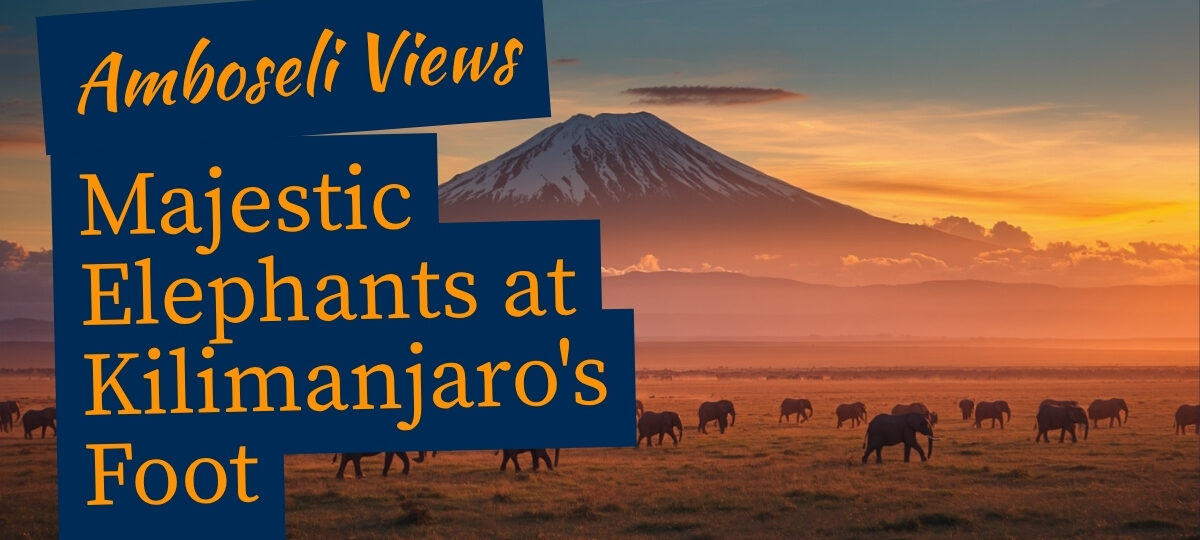 Wide-angle shot of elephant herd crossing golden Amboseli plains with snow-capped Kilimanjaro rising in the background at sunrise