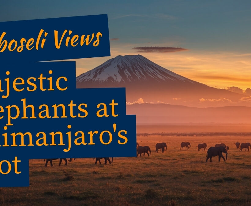 Wide-angle shot of elephant herd crossing golden Amboseli plains with snow-capped Kilimanjaro rising in the background at sunrise