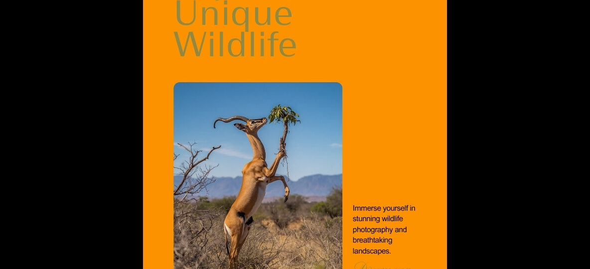 Samburu Special Five Guide