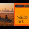 Seasons In Nairobi National Park