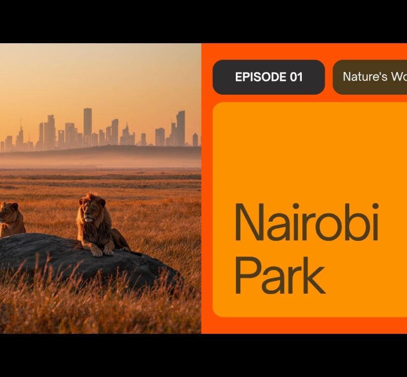Seasons In Nairobi National Park