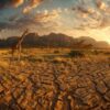Seasons In Samburu