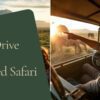 Self Drive Amboseli Vs Guided Safari