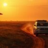 Self Drive Vs Guided Safari Kenya