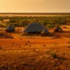 Sentrim Mara Lodge accommodation setting in Maasai Mara, Kenya