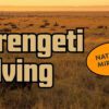 Kenya (Masai Mara) chapter on the right, with the Mara River crossing zone marked