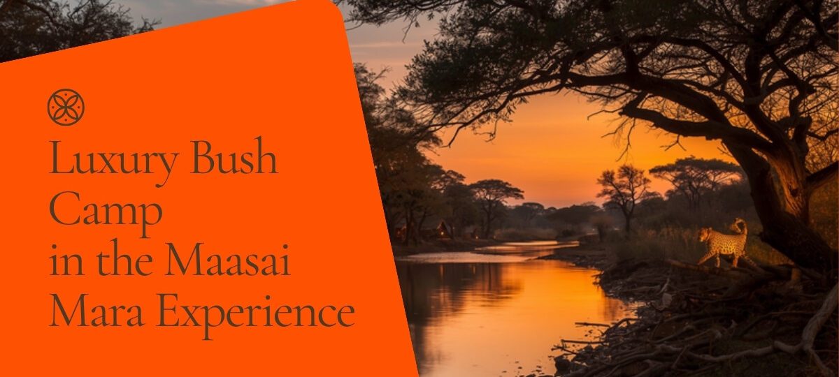 Soroi Mara Bush Camp accommodation setting in Maasai Mara, Kenya