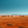 Tsavo East Vs Tsavo West Guide