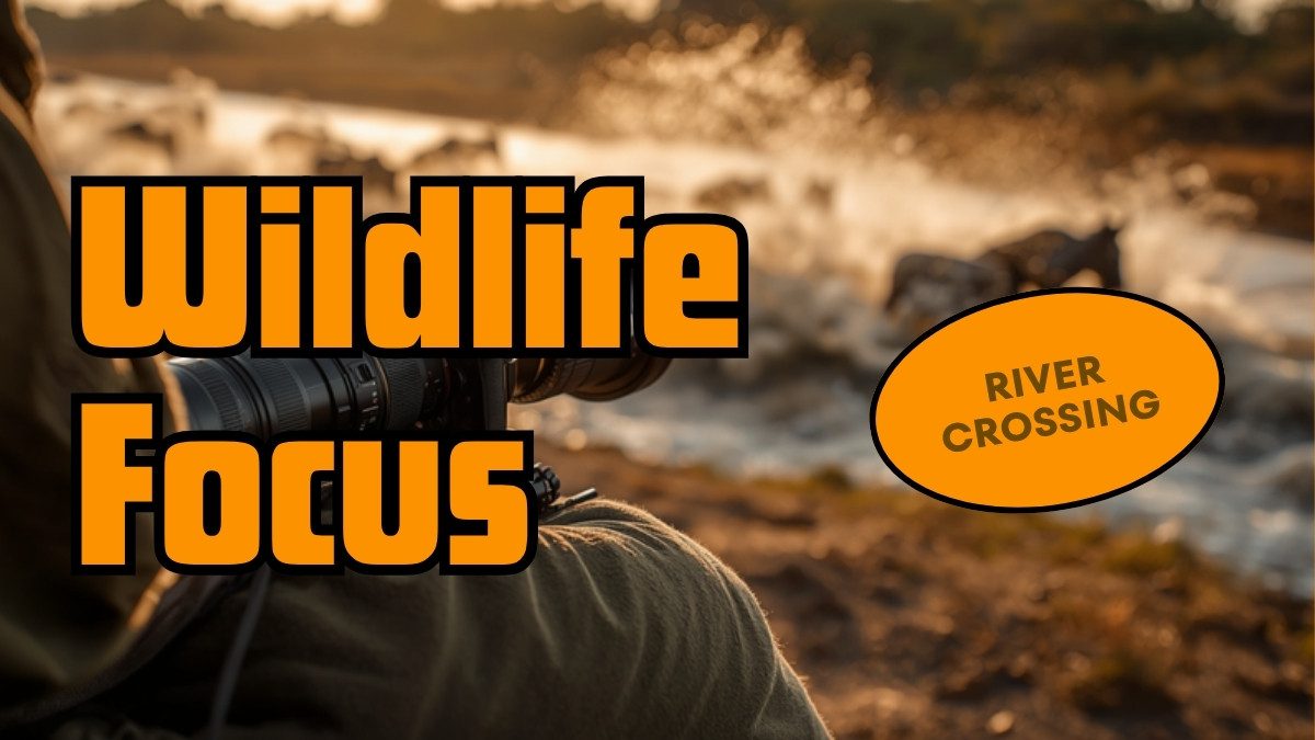 Safari vehicle positioned at a respectful distance from a Mara River crossing area with open sightline