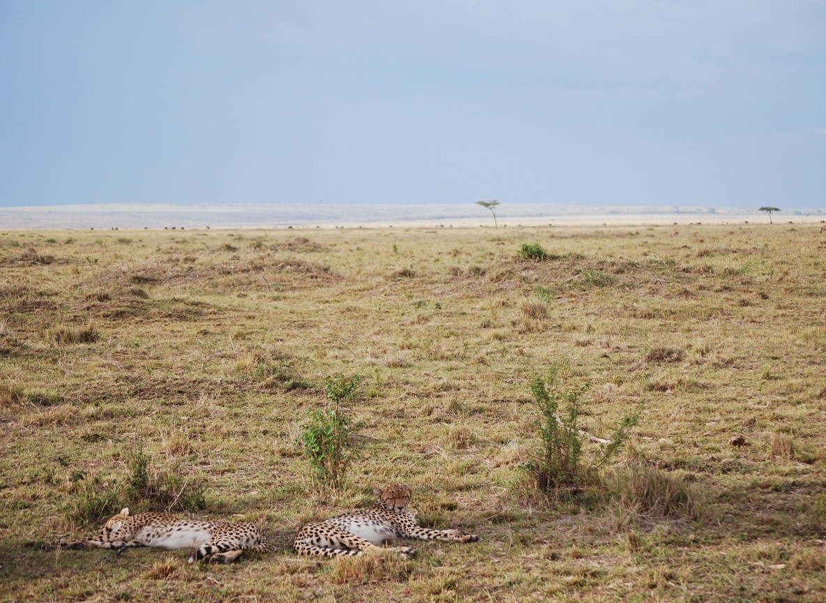 3 Day Kenya Safari Packages