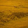 4 Day Kenya Safari Packages