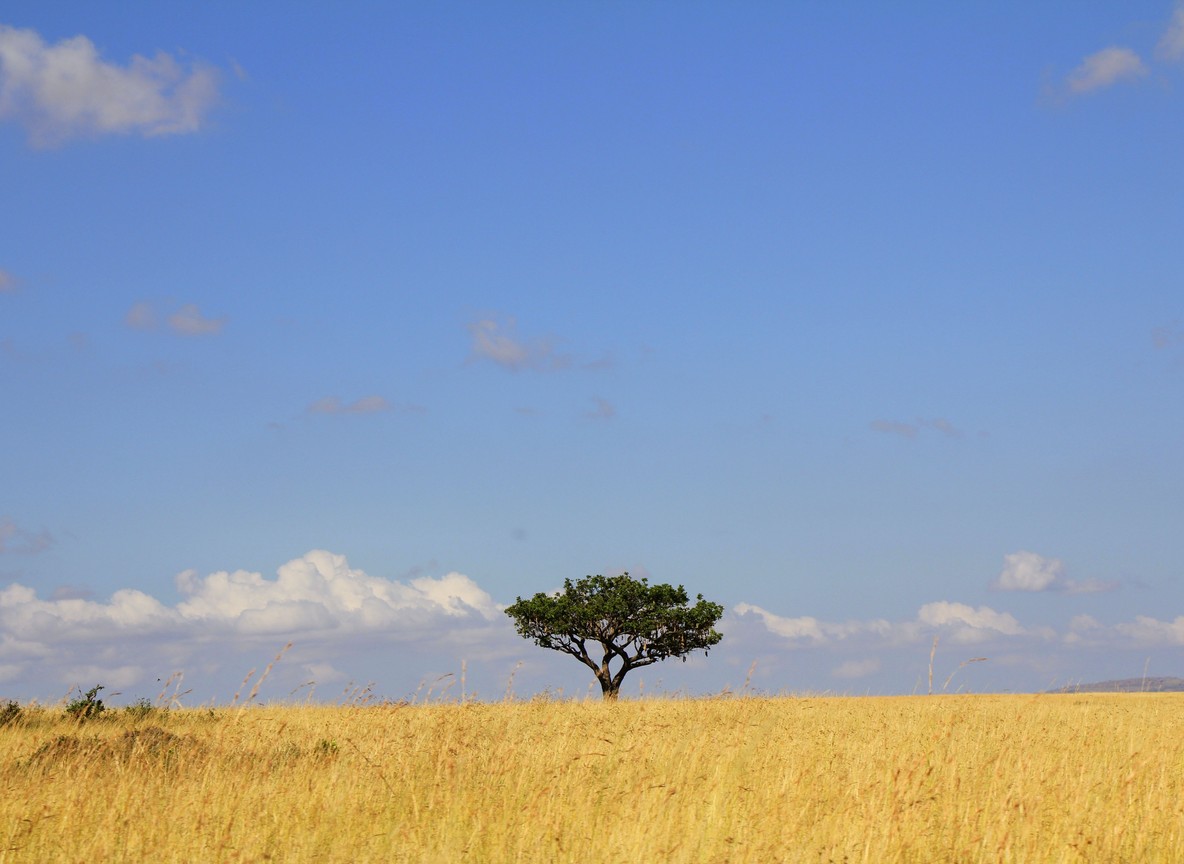 4 Day Kenya Safari Packages