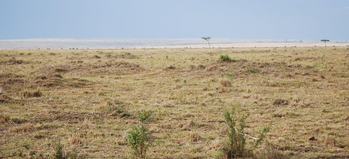 Bateleur Camp Masai Mara