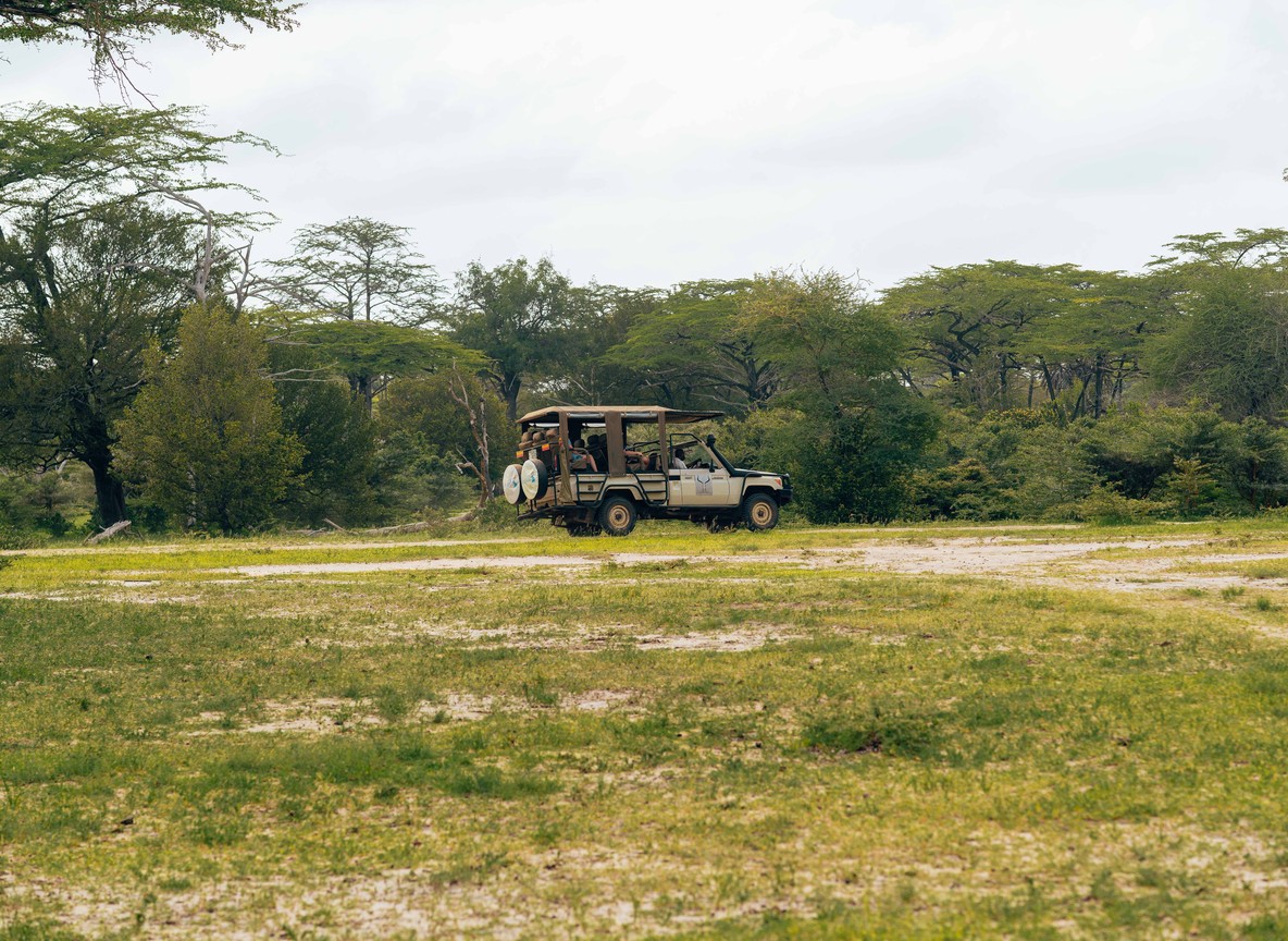 Best Kenya Safari For Photographers
