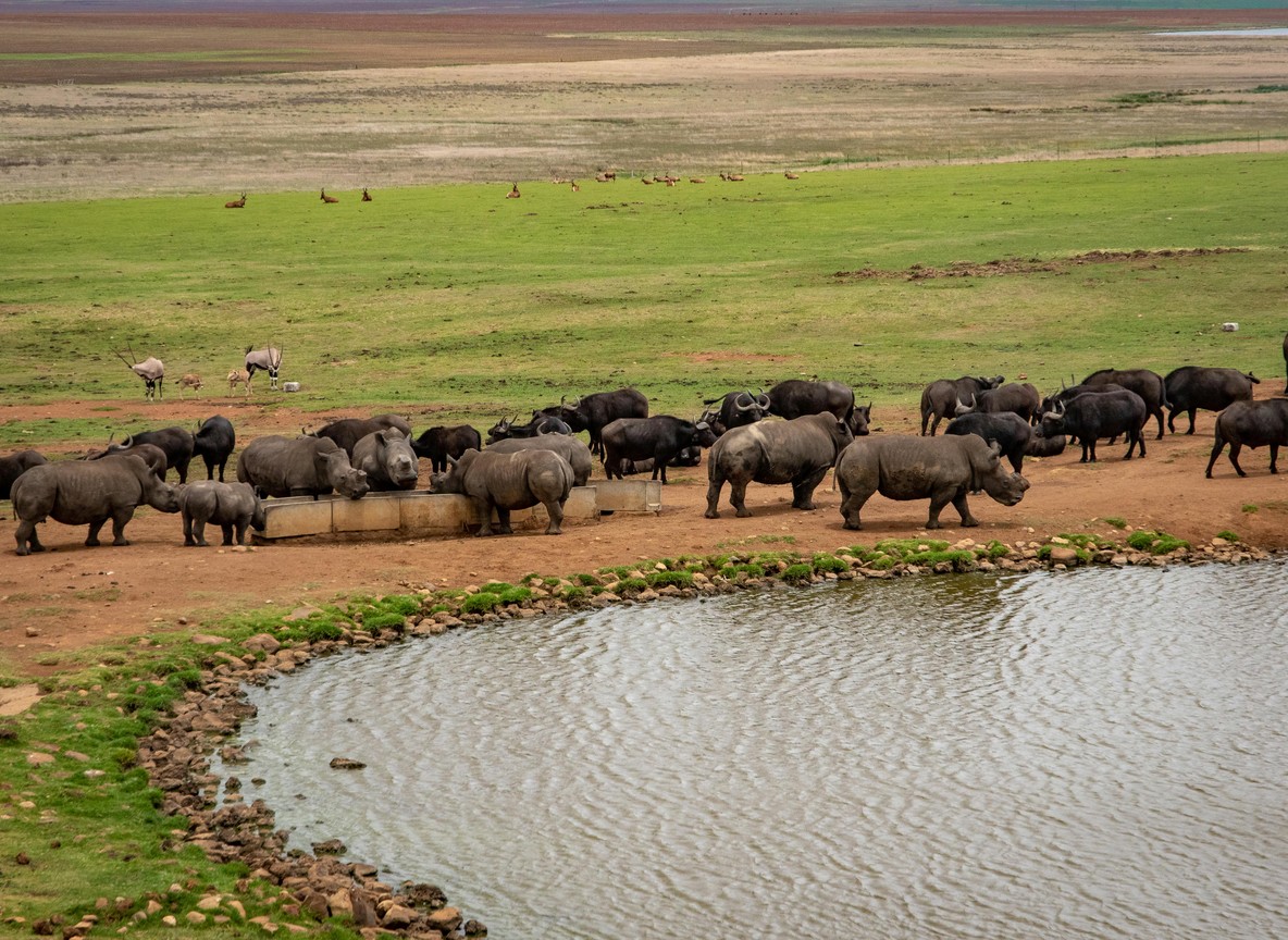 Big Five Kenya Safari Parks