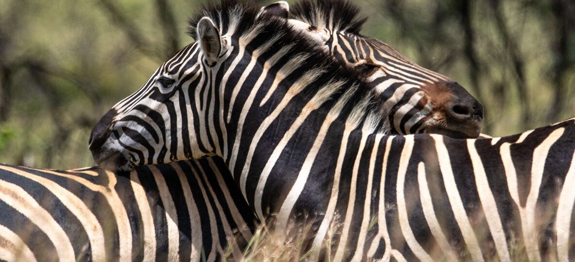 Crescent Island Naivasha