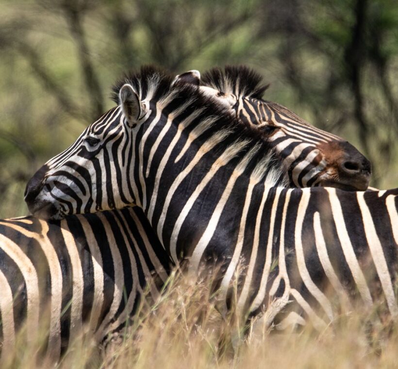 Crescent Island Naivasha