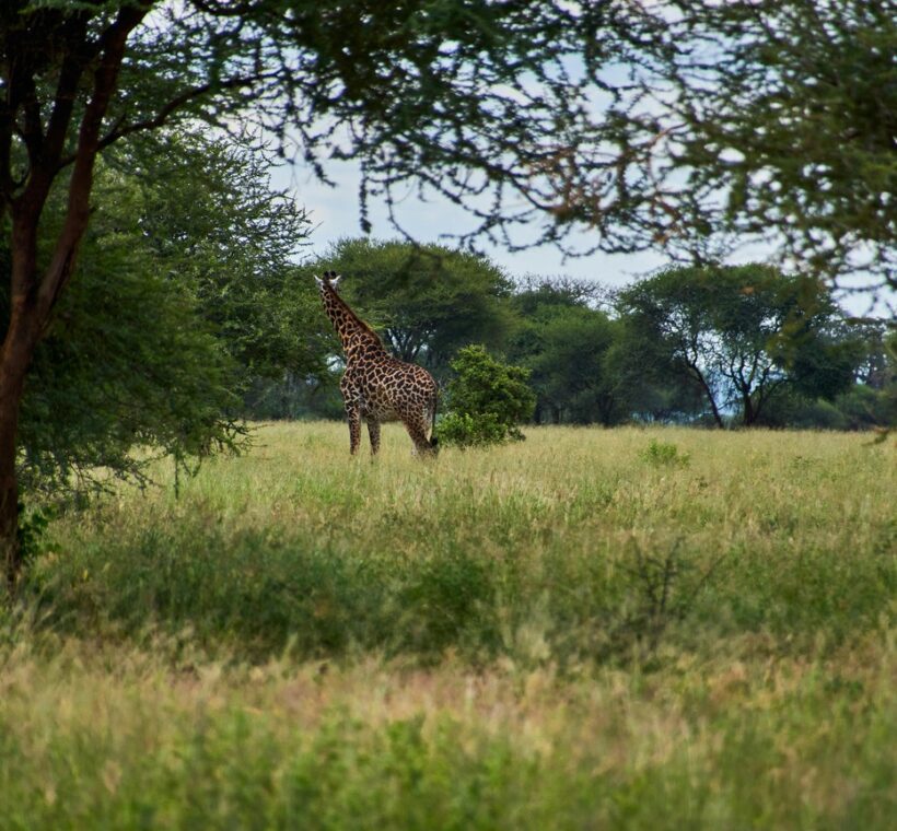 Green Season Safari Kenya