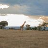 Jw Marriott Mount Kenya Rhino Reserve