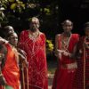 Kenya Airways Safarilink Safari Packages