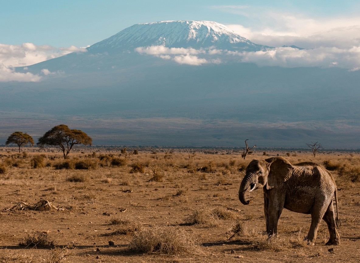 Kenya Airways Visa Safari Discount 2026