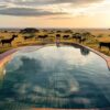 Kenya Luxury Safaris Experiences Camps Booking Guide