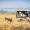 Kenya safari for beginners - first-timer watching elephants from a Trunktrails Safaris game drive vehicle