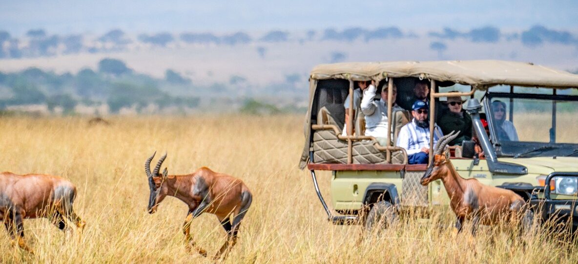 Kenya safari for beginners - first-timer watching elephants from a Trunktrails Safaris game drive vehicle