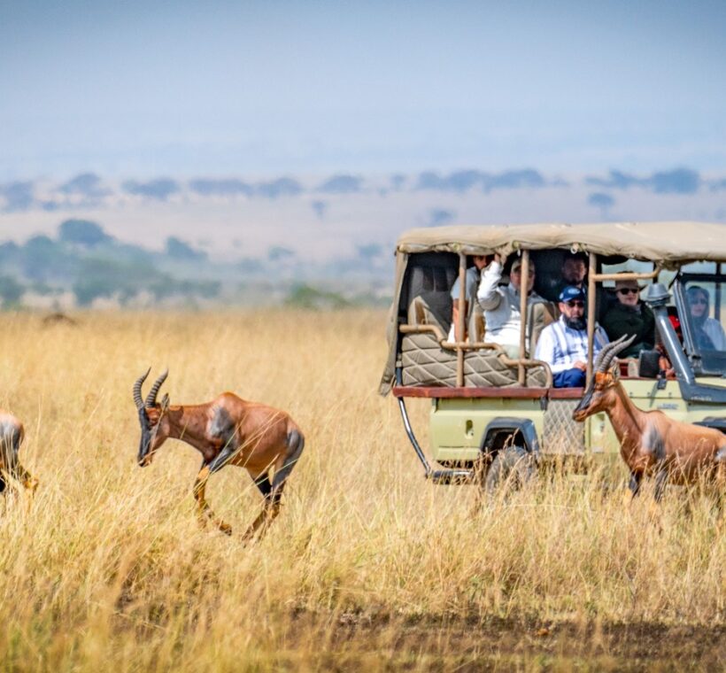 Kenya safari for beginners - first-timer watching elephants from a Trunktrails Safaris game drive vehicle