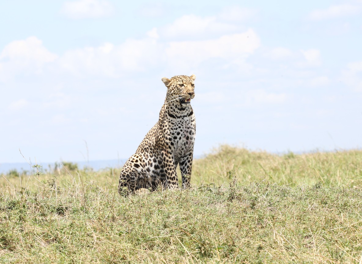 Masai Mara, late afternoon, kenya safari group tour itinerary printout on the table