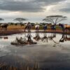 Kenya Safari Packing List 2026
