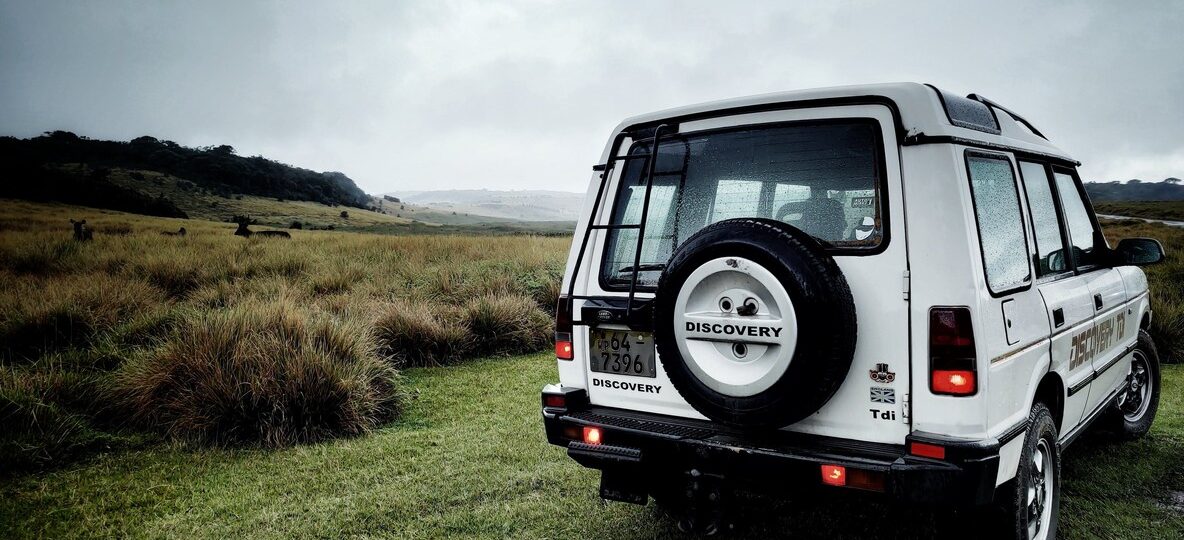 Kenya Safari Self Drive Vs Guided
