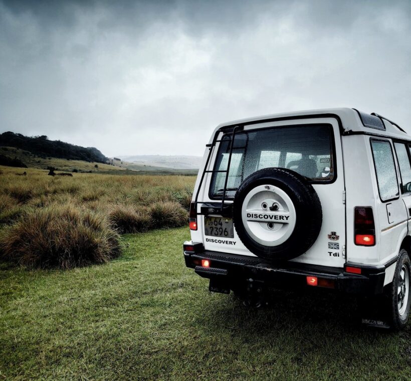 Kenya Safari Self Drive Vs Guided