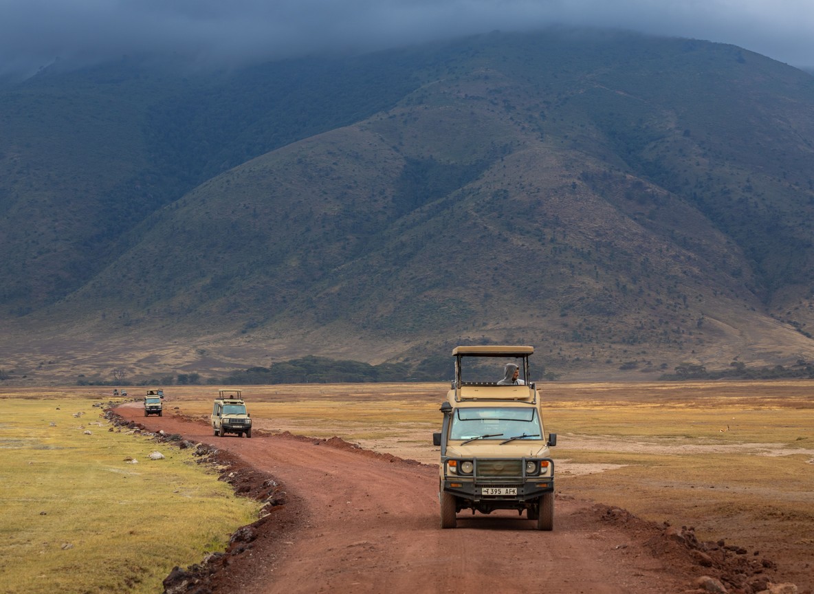 Kenya Safari With Toddlers