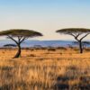 Kenya Tourism Industry Fuel Price Response
