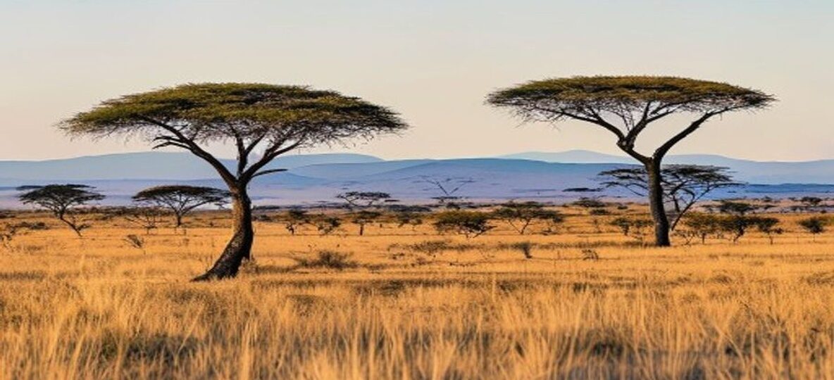 Kenya Tourism Industry Fuel Price Response