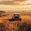 Kenya Vs Tanzania Safari Comparison