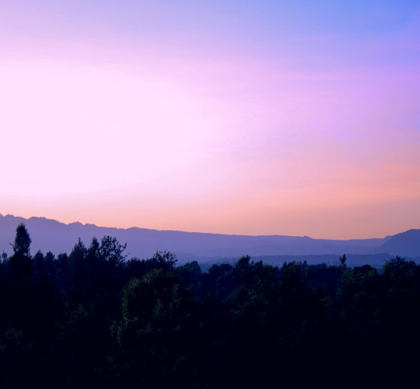 golden light, elephants in the distance