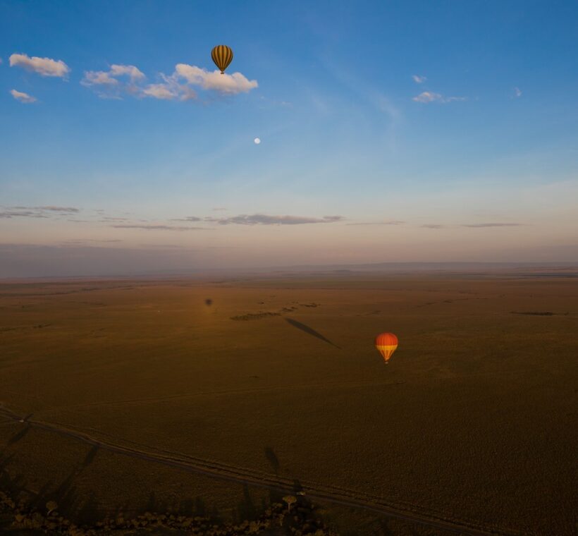 Kenya Wildlife Census 2026