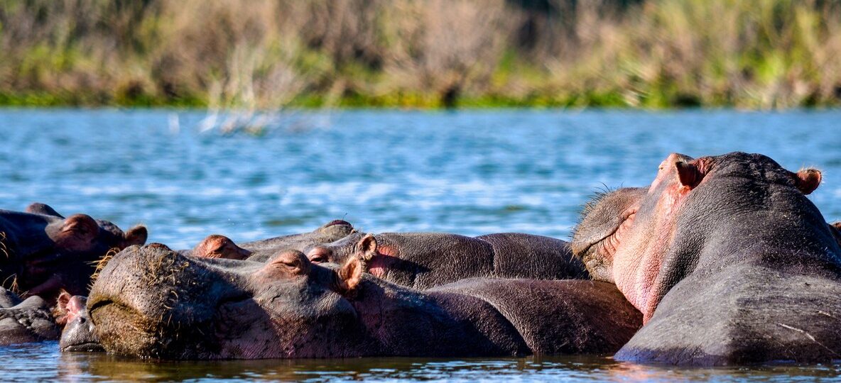 Lake Baringo Safari